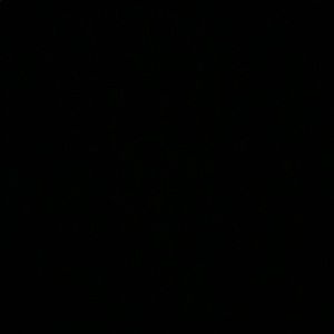 Meet your Posher, Elijah